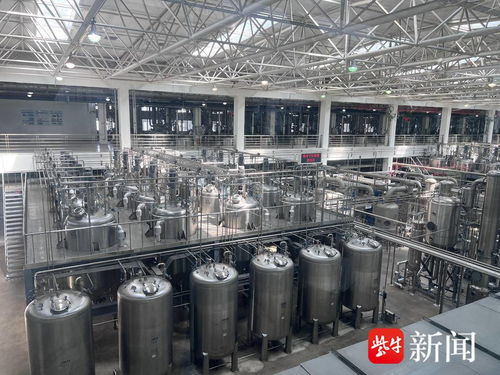 向智向新向綠 新質生產力下連云港網絡技術的研究與實踐